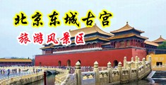 美女裸体操逼高清视频免费看中国北京-东城古宫旅游风景区